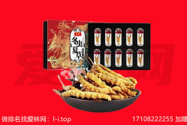 重庆垫江县回收虫草.jpg